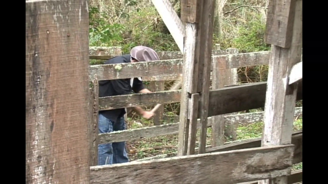 Wild Homosexual Sex - Episode 3