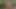 Peasant Boy Finds an Indian Woman in the Middle of the Forest and Ends up Giving Her the Best Fuck of Her Life
