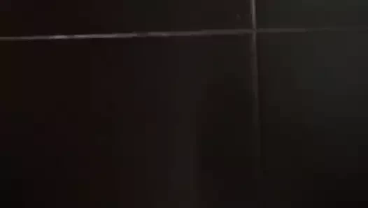 Un roman isi face laba