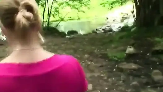 Hollandalı fanteziler: Hollandalı fantezi #227