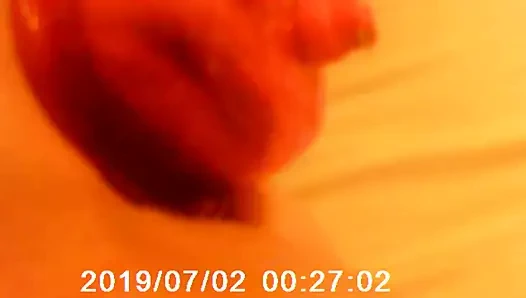 Flamingo titreşimli oyuncak ile kedi pompa oturumu #3