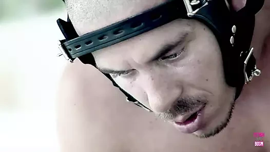 Zevkle çığlık atana kadar sert uzunluğu üzerinde zıplamak istiyor