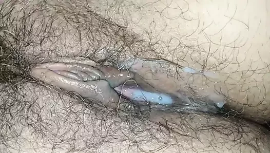 Sperm içinde kedi, üzerinde horoz