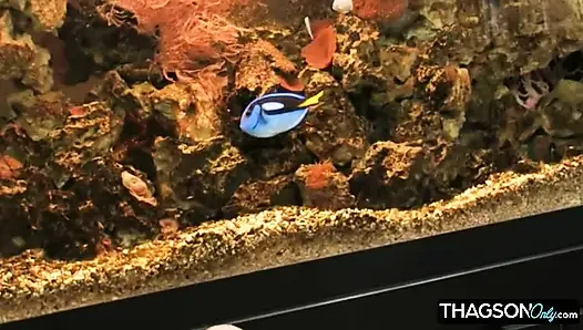 Baştan çıkarıcı esmer orgazm olmak için sıkı amını parmaklıyor