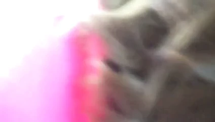 Susan domuz bölüm 2