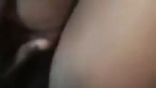 Bajan darkie ıslak kedi