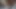 Japon amatör kedi oynama konnyaku
