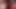 Sarkan emiyor sürtük kendi gül ağacını yalıyor