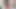 The Rabbit