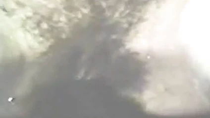 bağbozumu ırklararası