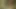Outdoor seduction of a stranger: blowjob and pussy sex in the forest