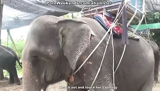 oral seks olarak bir ceza