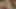 Bir Porno Yıldızına Sor - Kızlar Sikler Hakkında Dedikodu Yapıyor