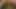 Johnthomastoys'tan en sevdiğim xl anal dildoyla oynuyorum aşırı anal