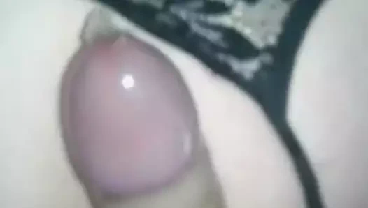 Ciganin shiba bulgarin