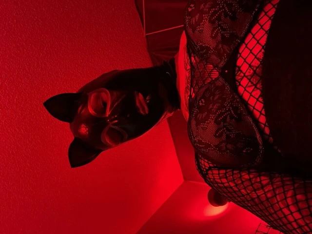 izle benim göt yutmak bir 24 inç yapay penis