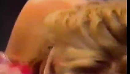 Astrid hapları bir ahırda becerdin(gr-2)