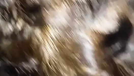 Granny  la chupa rico