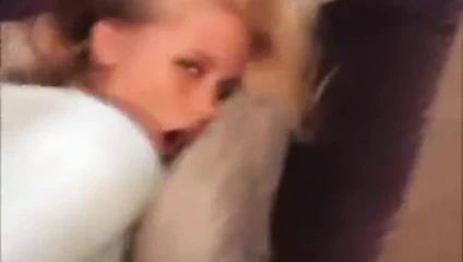 azgın KEDİ kahrolası 137