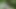 vid525