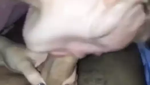 Beyaz kızın bj'sinin ikinci bölümü