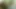 Porno yıldızı çift kameramanla sohbet etti