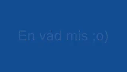 Cum üzerinde kedi