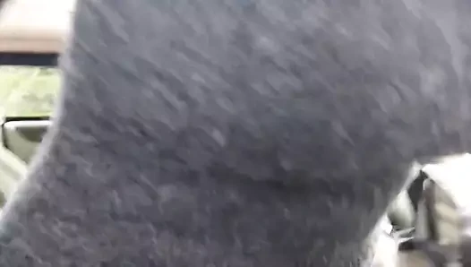 Arabanın içinde ve çevresinde daha fazla eğlence.