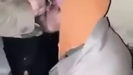 Un aurolac ii suge pula lui Raul