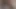 Bu kıllı amcığı sikmeyi gerçekten seviyorum