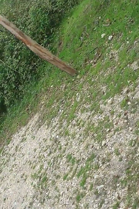 Külotlu çorap teşhiri