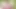 Naughtynatural - kıllı amatör harley hex xxx açık havada yoga solo sahnesi