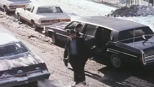 Harika seks beklentileri (1984, biz, 35mm, kelly nichols, dvd rip)