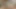 Göt Zıplıyor Ve Dildoyla Sikişiyor Ve Parmaklıyor