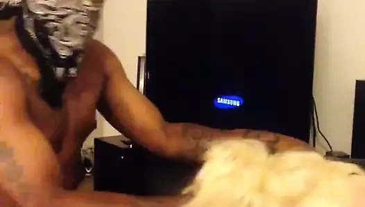 hizmet veren bbc boğa