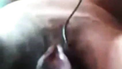 Hint mulki bölüm 2