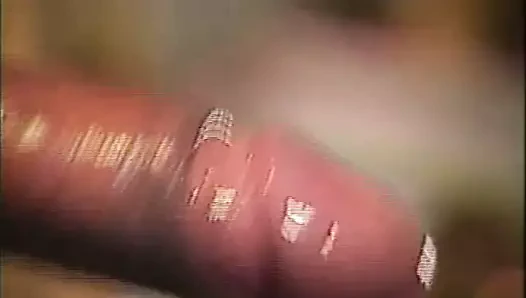 Irklararası amcık partisi