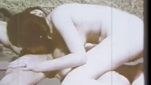 Daisy yatıyordu ve 52 pikap