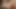 21 sextury - yaramaz Sata Jones ateşli bir üçlü sekste çifte sikileceği için heyecanlı