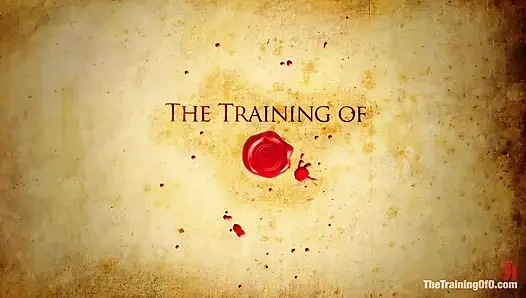 Sophie Monroe 5. gün sert bir şekilde cinsel eğitim