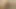 Ateşli ve seksi genç lezbiyenler birbirlerinin amını yalıyor