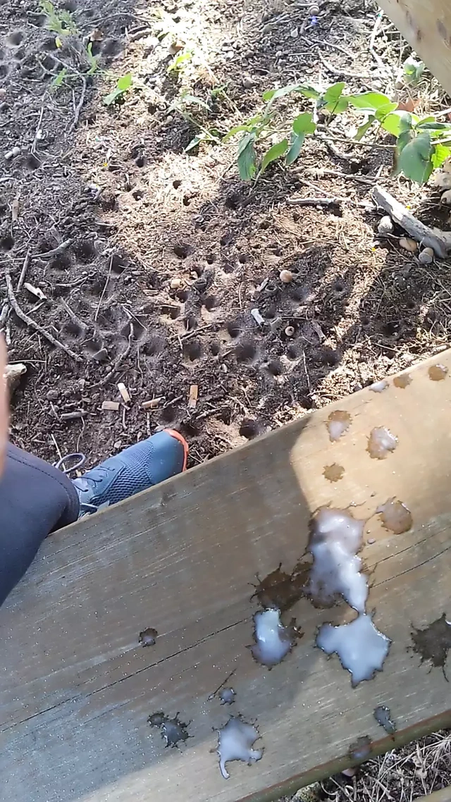 Açık havada doğa boşalması