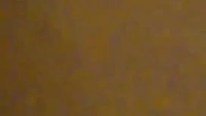 sally alma kadar bu göt