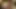 dtfsluts_ jay_ taylor_ 4_ tube_ pr1_ 1