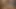 Olgun milf amatör lezbiyenler sapıkça dev oyuncaklar