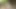 Sevimli japon kız tsukushi'yi izleyin - caribbeancom'da daha fazlası