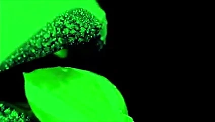 Gölgeleri kovalamak - hayal kurmak