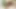 Büyük götlü travesti Lorena Lopes makineyle sikiliyor