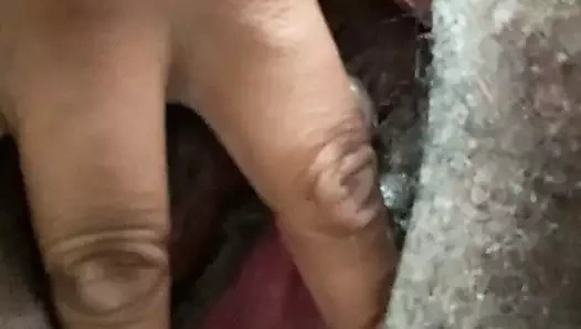 Şişman kedi oyuncak