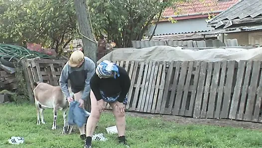 Büyük götlü nine memelere boşalmayı ve açık havada sikişmeyi seviyor